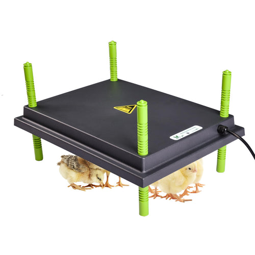 Wärmeplatte Küken 25x30cm höhenverstellbar 20W für Geflügelaufzucht