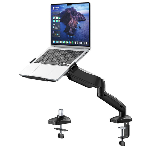 Laptop & Monitor Halterung 2-in-1 Stahl VESA 75/100 Tischklemme