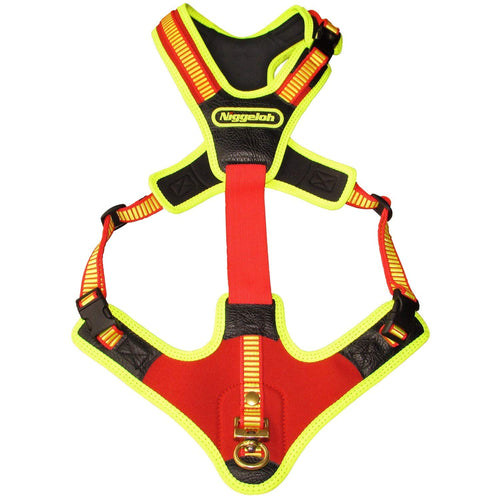 Hundeführgeschirr Neopren/Cordura Signalfarben Halsumfang 42cm