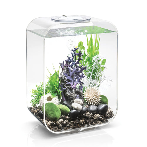 Aquarium-Komplett-Set Acryl 15 L mit LED und Filtersystem