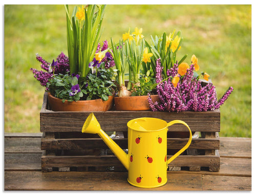 Wandbild Alu Verbundplatte Outdoor 60x45 cm Narzissen Frühlingsgarten
