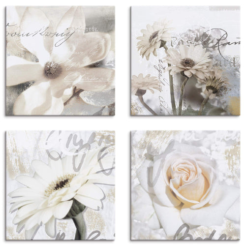 Leinwandbild 4er-Set Blumen 40x40 cm Magnolie Gerbera Rose