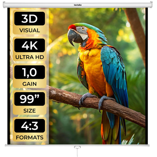 Beamer Leinwand Rollo ausziehbar 178x178 cm Deckenmontage