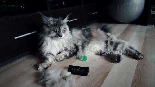 Fellbürste Hund &amp; Katze beidseitig für kurzes und langes Fell - Bild 2