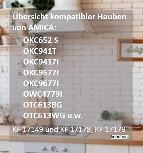Aktivkohlefilter Dunstabzugshaube 3er-Set 18x31cm für Amica - Bild 3