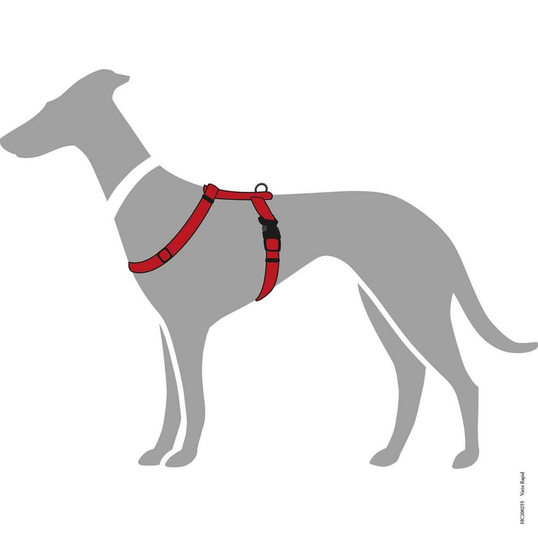 Hundegeschirr Nylon verstellbar 4-Punkt Klickverschluss rot - Bild 2