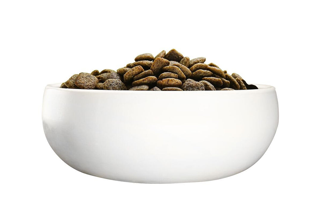 Vegetarisches Trockenfutter Hund Kartoffel &amp; Erbse getreidefrei 10 kg - Bild 6