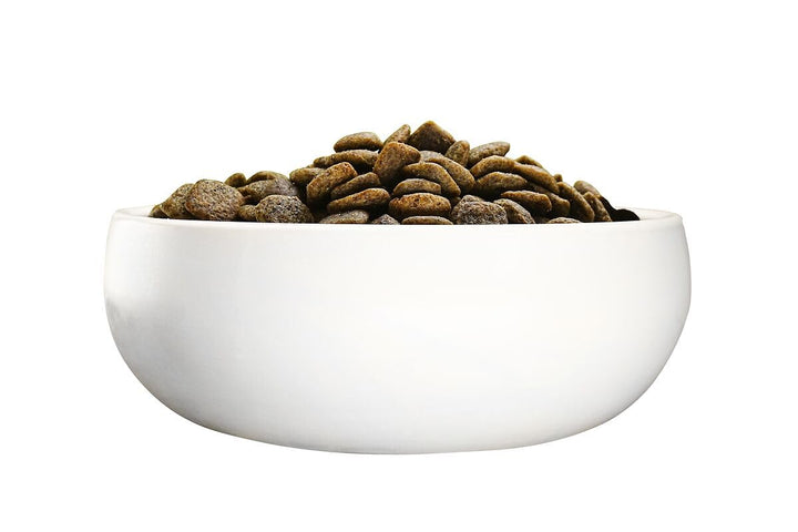 Vegetarisches Trockenfutter Hund Kartoffel &amp; Erbse getreidefrei 10 kg - Bild 6