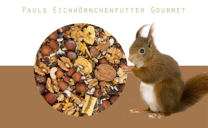 Eichhörnchenfutter mit Walnüssen &amp; Haselnüssen in Schale 5 kg - Bild 3
