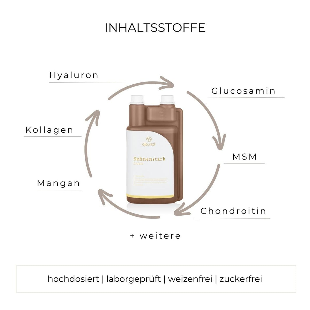 Ergänzungsfuttermittel Pferd Sehnen &amp; Bänder mit MSM, Hyaluron &amp; Kollagen - Bild 2