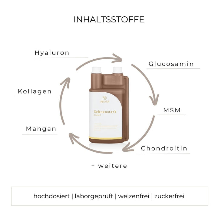Ergänzungsfuttermittel Pferd Sehnen &amp; Bänder mit MSM, Hyaluron &amp; Kollagen - Bild 2