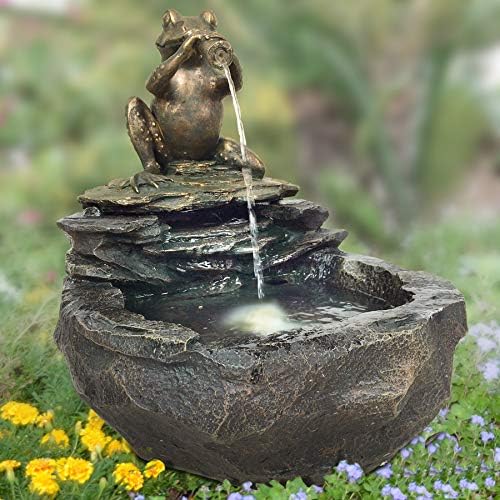 Gartenbrunnen Frosch mit LED-Beleuchtung 43x33x37 cm Indoor/Outdoor