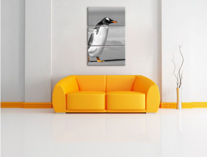 Leinwandbild 3-teilig Pinguin Strand Schwarz-Weiss 120x80cm - Bild 2