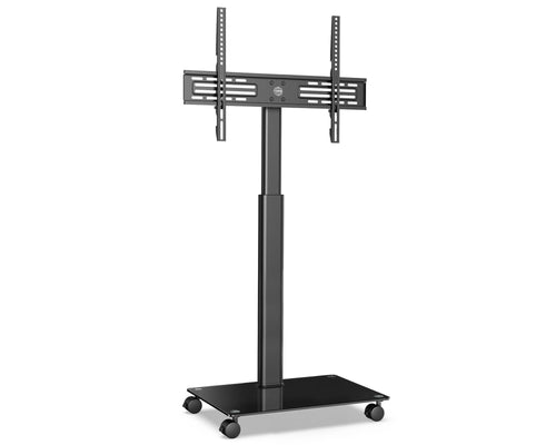 TV Rollwagen höhenverstellbar schwenkbar 32-60 Zoll bis 30 kg
