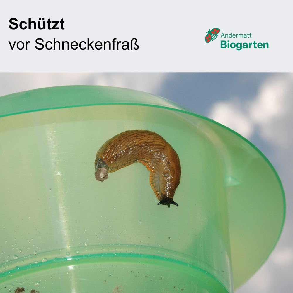 Schneckenkragen mechanisch 12er-Pack aus recyceltem Kunststoff - Bild 3