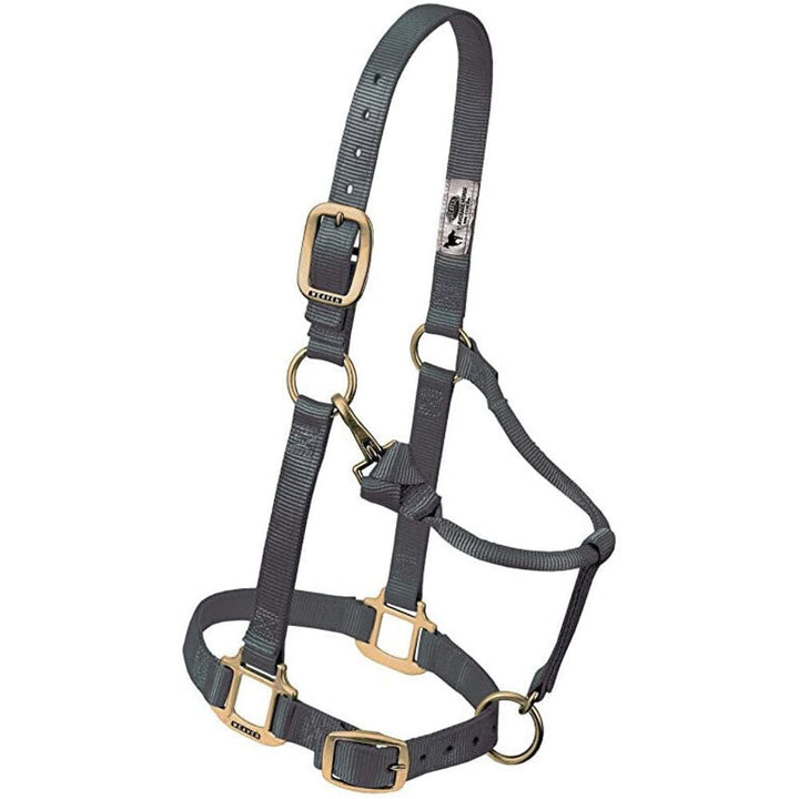 Nylon-Halfter verstellbar mit Kinn- und Kehlkopfschnapper 2,5 cm Graphit