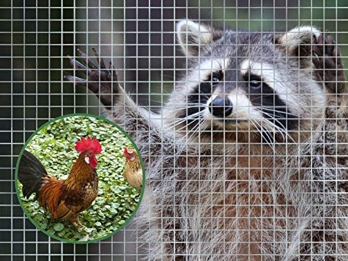 Drahtgitter verzinkt feinmaschig 6,3 mm Volierendraht 100x1000 cm - Bild 6