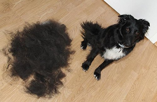 Fellbürste Hund &amp; Katze beidseitig für kurzes und langes Fell - Bild 7