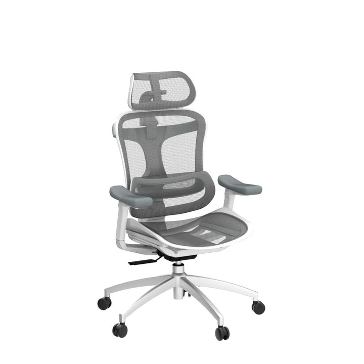 Ergonomischer Bürostuhl Netz mit Lendenwirbelstütze 3D-Armlehnen bis 150 kg - Bild 5