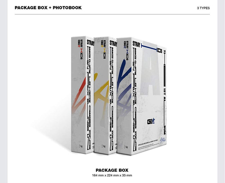 Stray Kids GO LIVE Album Standard Ver. C Type CD mit Photobook und Photocards - Bild 2