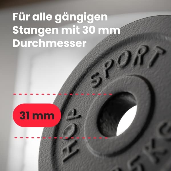 Gusseisen Hantelscheiben Set 30 kg 4x2,5 kg + 4x5 kg 31 mm Bohrung - Bild 2