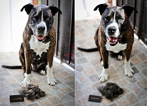 Fellbürste Hund &amp; Katze beidseitig für kurzes und langes Fell - Bild 6