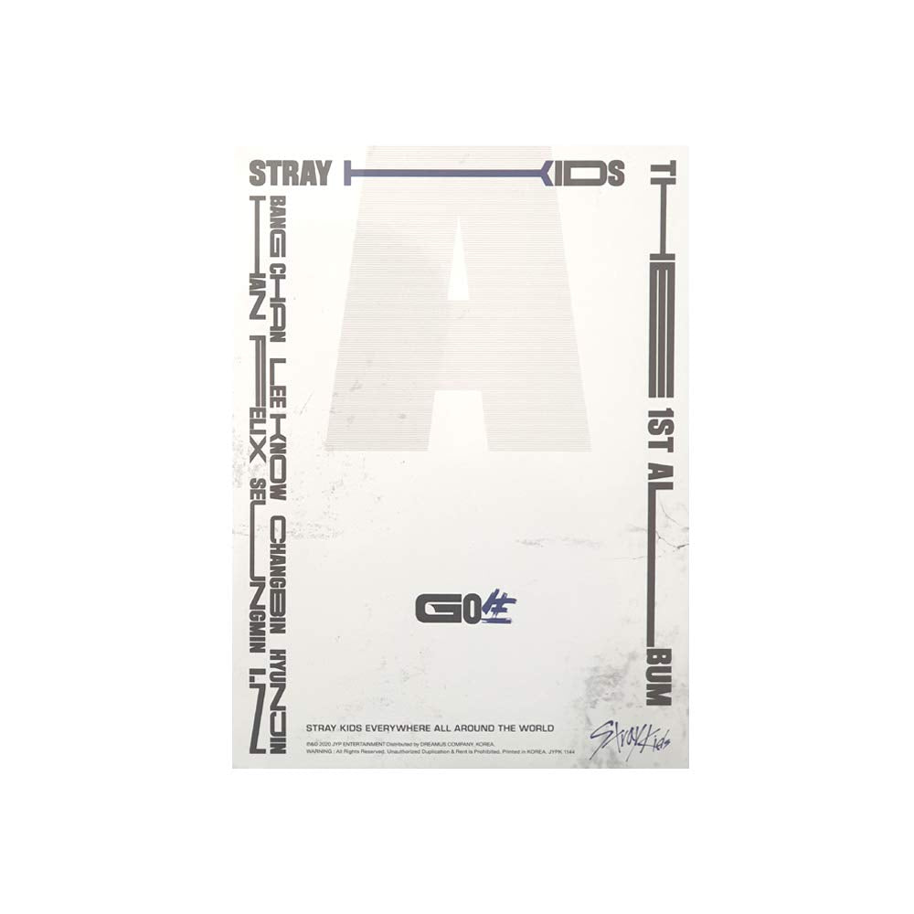 Stray Kids GO LIVE Album Standard Ver. C Type CD mit Photobook und Photocards