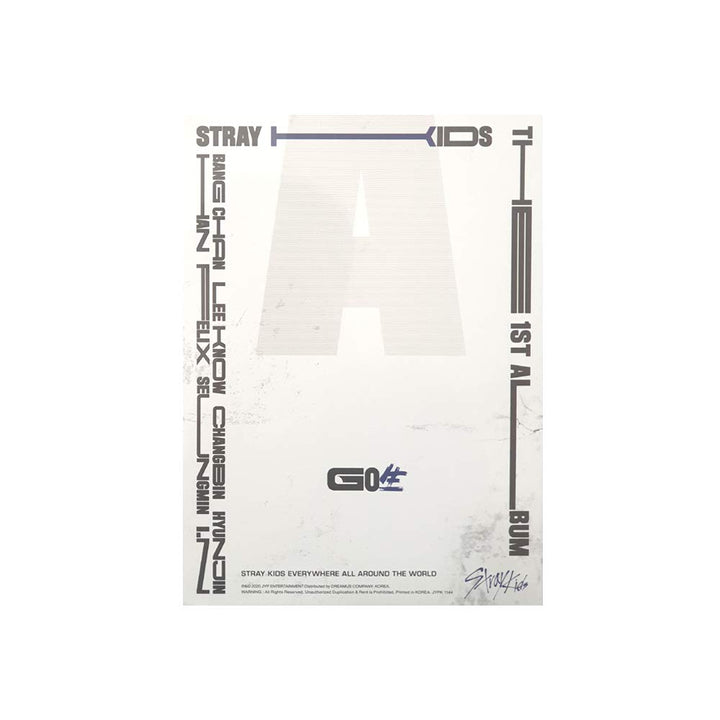Stray Kids GO LIVE Album Standard Ver. C Type CD mit Photobook und Photocards
