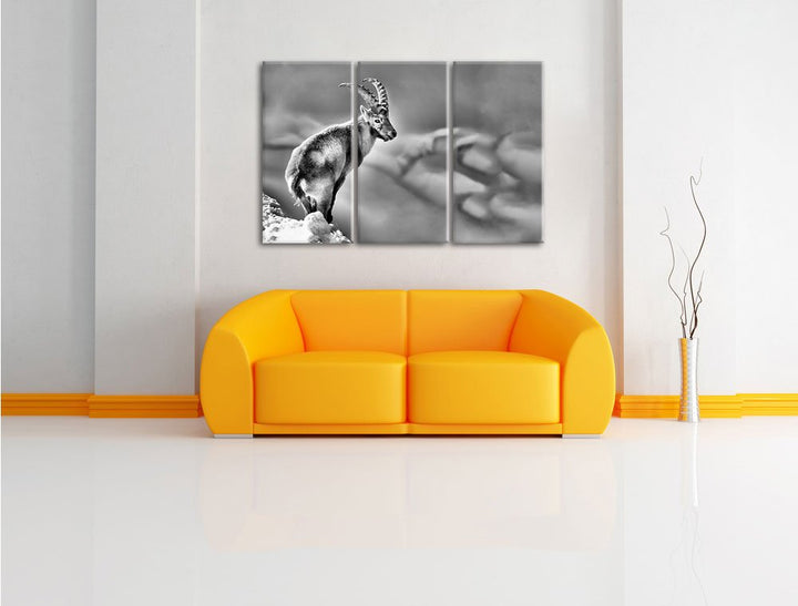 Leinwandbild 3-teilig Steinbock im Schnee 120x80 cm Wanddeko - Bild 2
