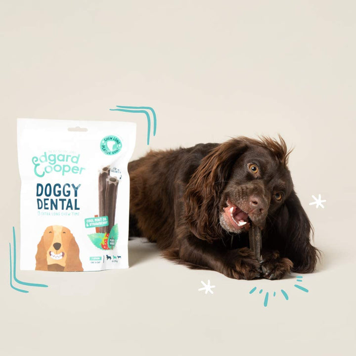 Dental Sticks Hund Eukalyptus &amp; Apfel Medium 56 Stück getreidefrei - Bild 3