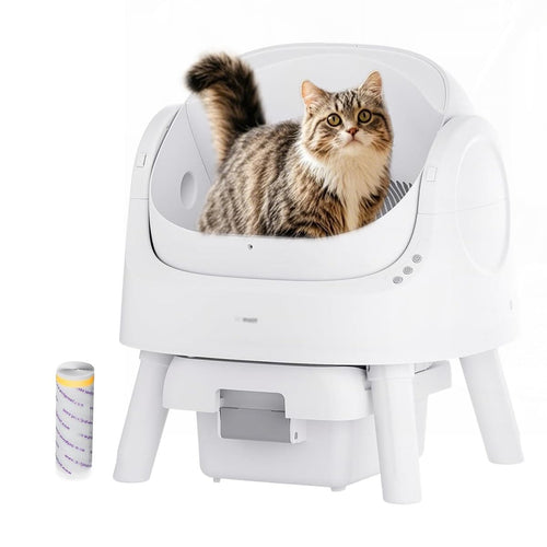 Selbstreinigende Katzentoilette Offen 7,9L Streu 10L Abfall für grosse Katzen