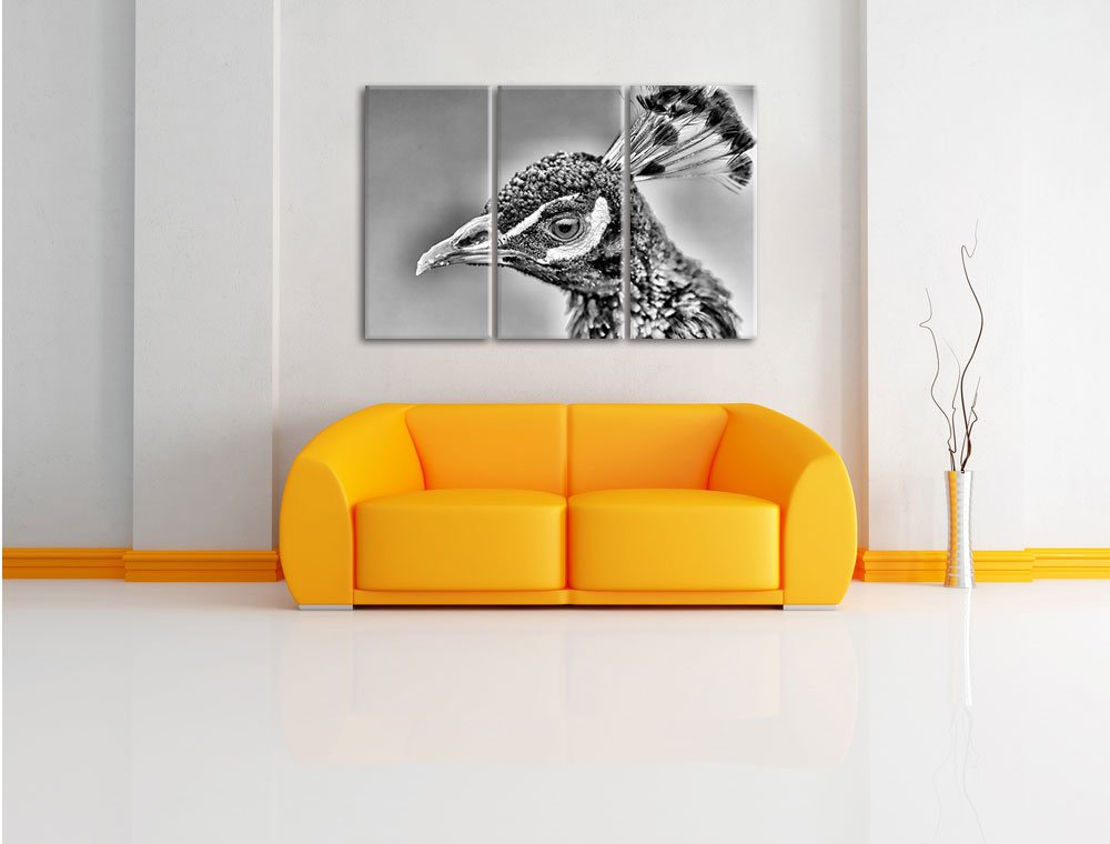 Leinwandbild Pfau 3-teilig farbenfroher Druck 120x80cm - Bild 2