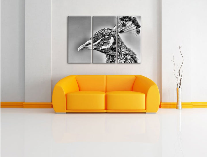 Leinwandbild Pfau 3-teilig farbenfroher Druck 120x80cm - Bild 2