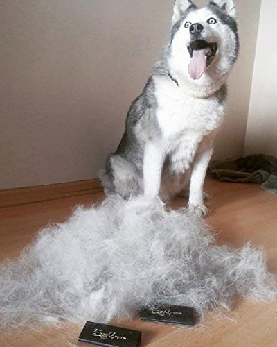 Fellbürste Hund &amp; Katze beidseitig für kurzes und langes Fell - Bild 4