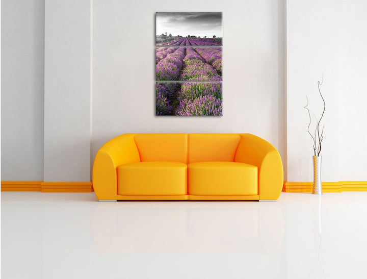 Leinwandbild Lavendelfelder Provence 3-teilig 120x80 cm - Bild 2