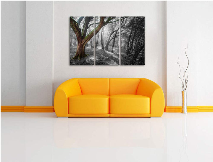 Leinwandbild 3-teilig Einsamer Baum Schwarz-Weiss 120x80 cm - Bild 2