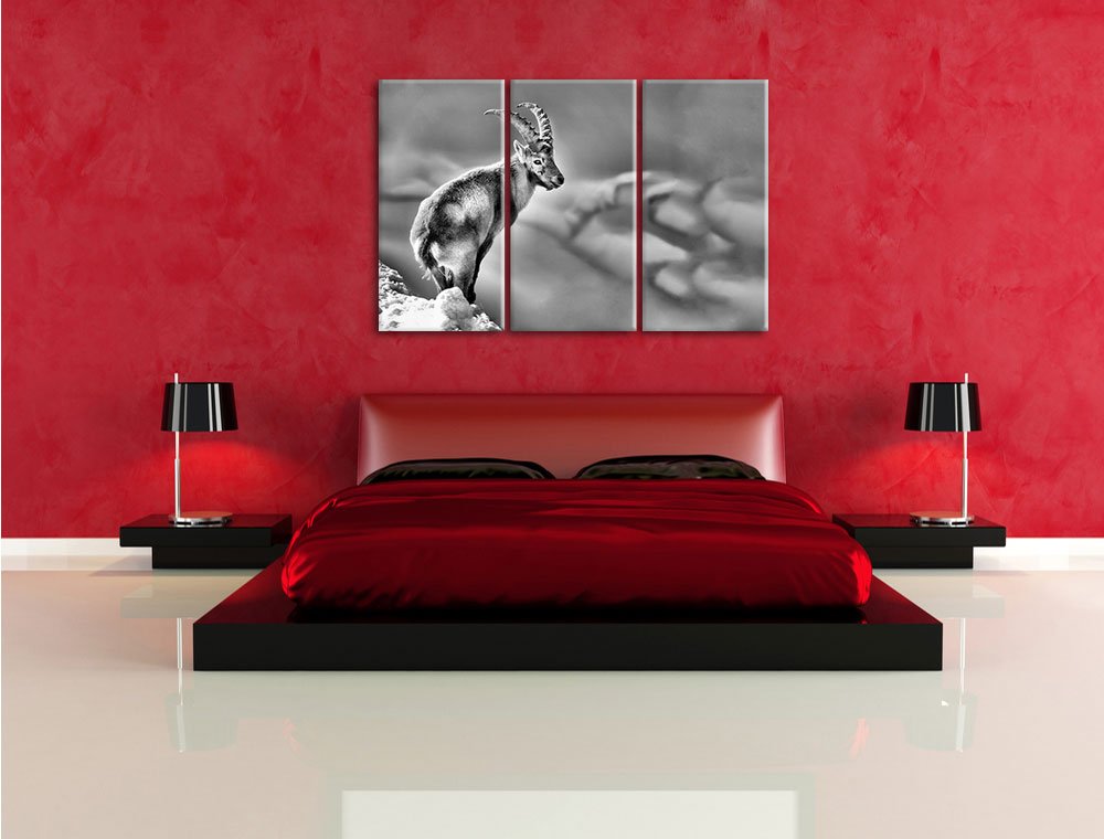 Leinwandbild 3-teilig Steinbock im Schnee 120x80 cm Wanddeko - Bild 3