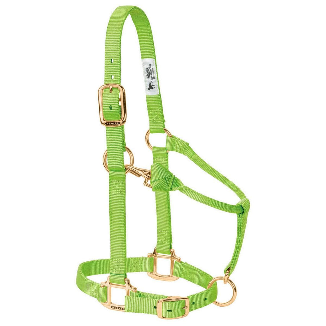 Nylon-Halfter verstellbar mit Kinn- und Kehlkopfschnapper 2,5 cm Graphit - Bild 9