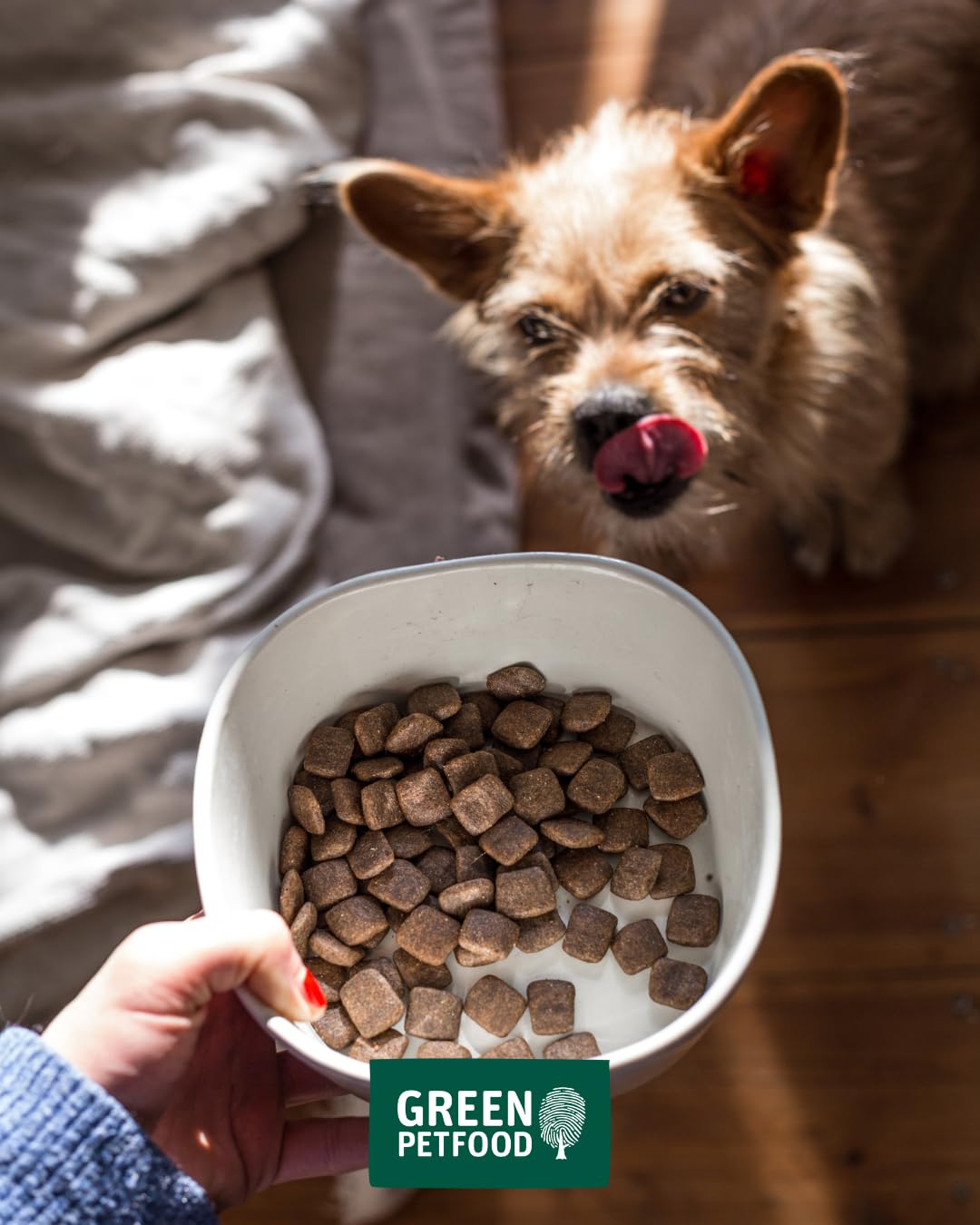 Vegetarisches Trockenfutter Hund Kartoffel &amp; Erbse getreidefrei 10 kg - Bild 11