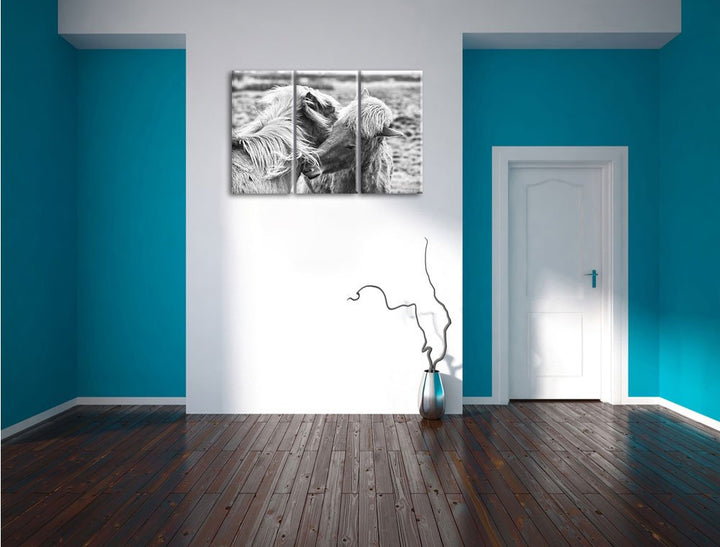 Leinwandbild 3-teilig Islandpferde Schwarz-Weiss 120x80 cm - Bild 5