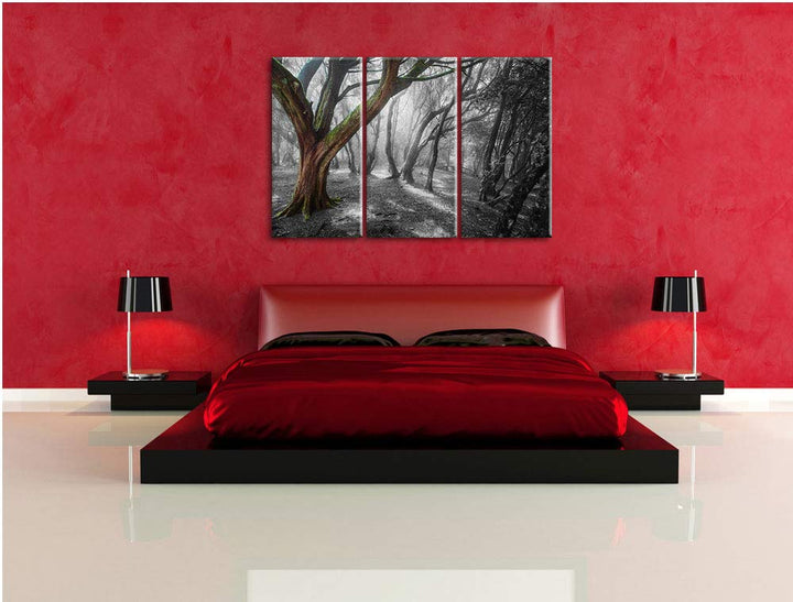 Leinwandbild 3-teilig Einsamer Baum Schwarz-Weiss 120x80 cm - Bild 3