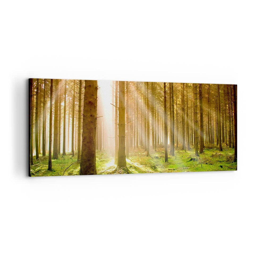 Leinwandbild Botanik Natur 120x50cm aufhängefertig