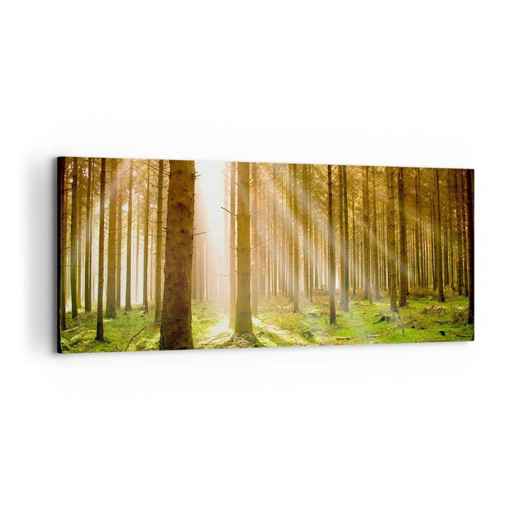 Leinwandbild Botanik Natur 120x50cm aufhängefertig
