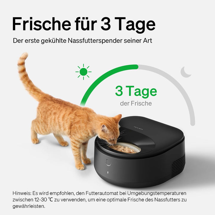Nassfutter-Futterautomat Katze mit Kühlung &amp; WLAN 3x220ml - Bild 2