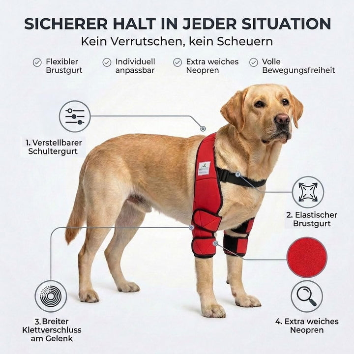 Ellenbogenbandage Hund Neopren 3mm mit Tasche für Kühl-/Wärmepad - Bild 3