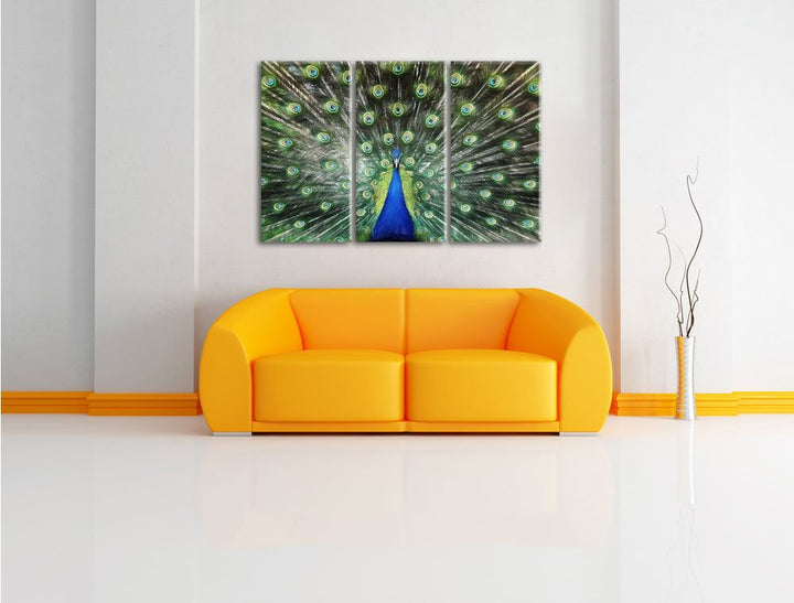 Leinwandbild 3-teilig Pfau Buntstift-Effekt 120x80 cm aufgespannt - Bild 2