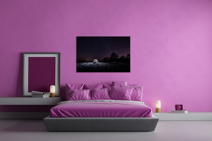 Leinwandbild Schädel Sternenhimmel XXL Kunstdruck 80x60 cm - Bild 3