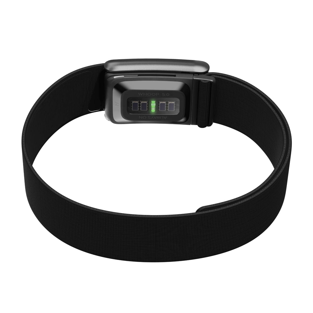Bizepsband CoreKnit Grösse L/XL für Fitness-Wearable Oberarm - Bild 3