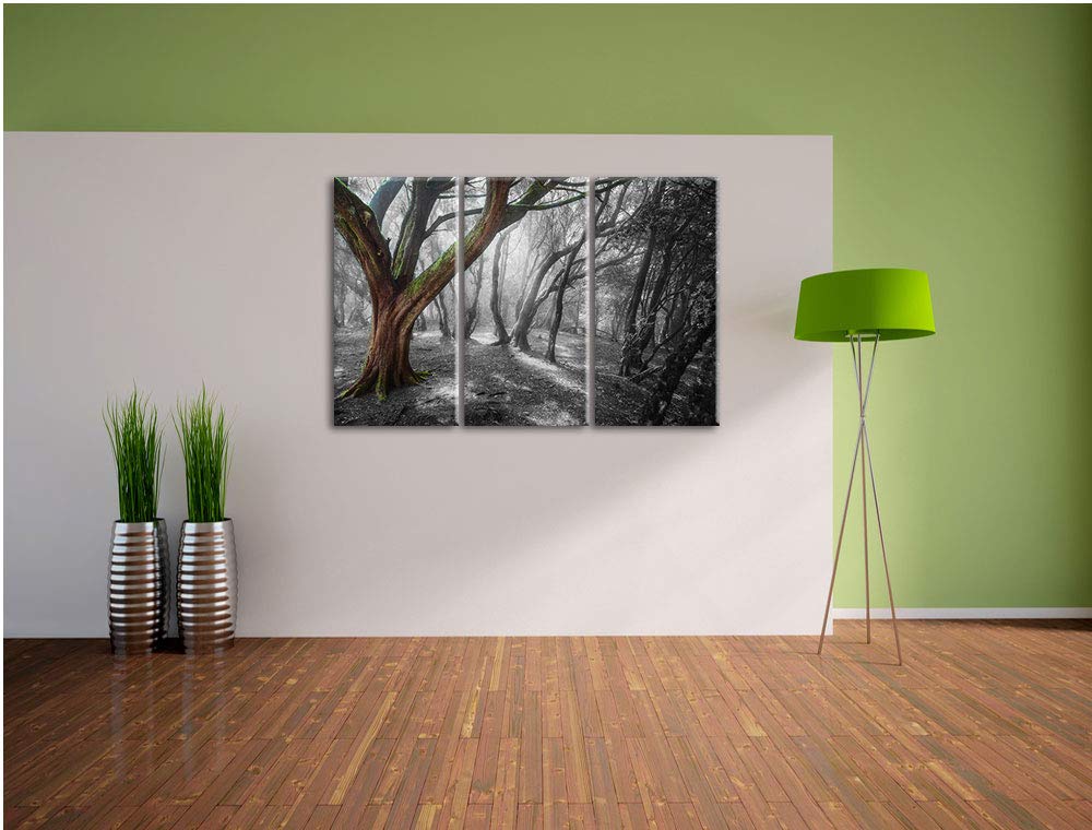 Leinwandbild 3-teilig Einsamer Baum Schwarz-Weiss 120x80 cm - Bild 4