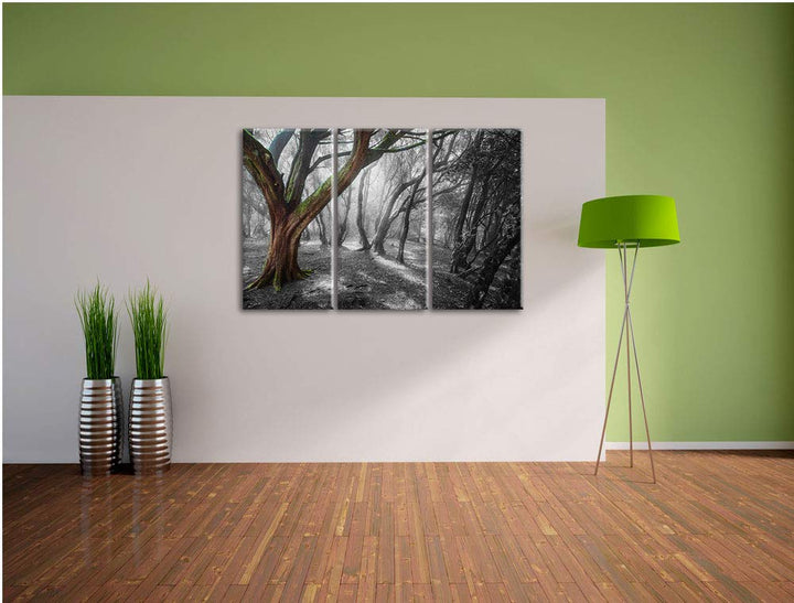 Leinwandbild 3-teilig Einsamer Baum Schwarz-Weiss 120x80 cm - Bild 4